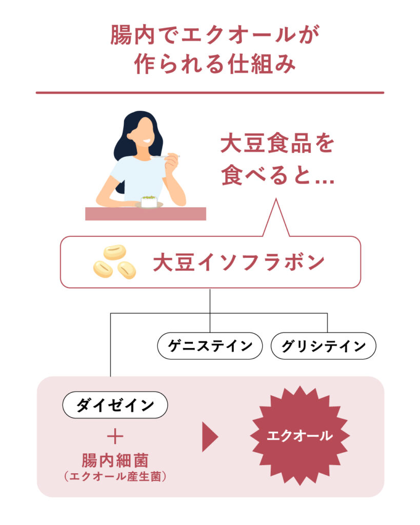 エクオール検査とは？女性の健康・美容で注目されるエクオールについて