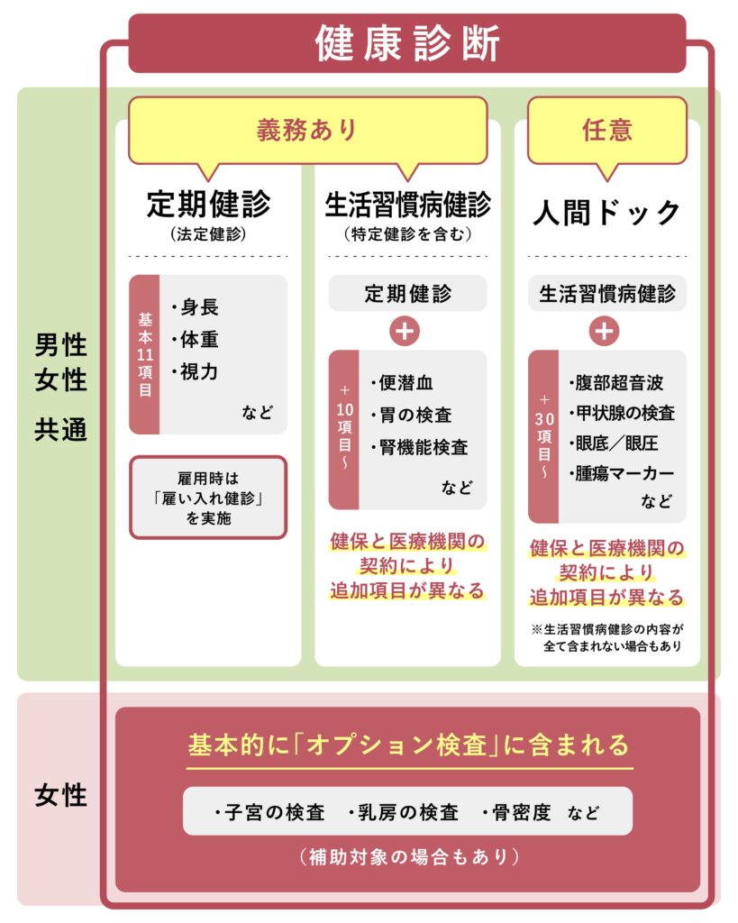 健康診断と人間ドックの違い｜検査項目・費用・女性が知るべきポイントを解説